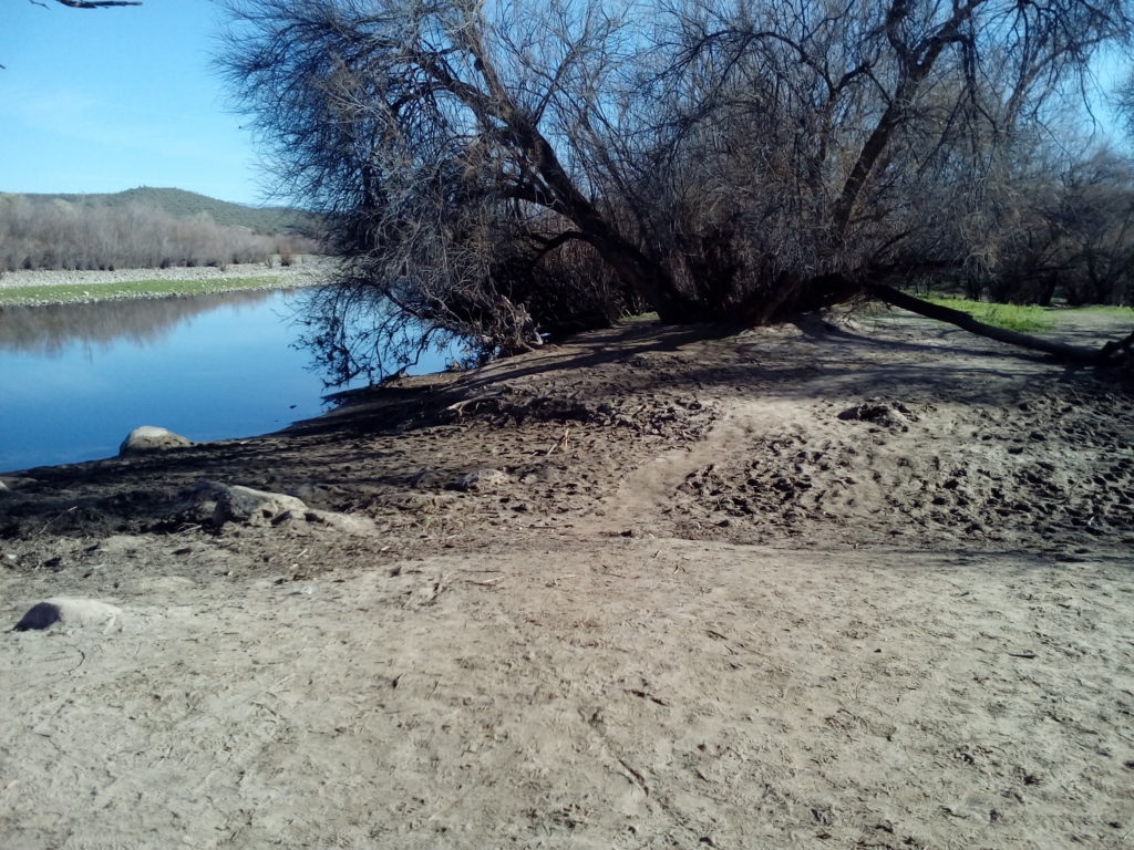 Salt River Cleanup After